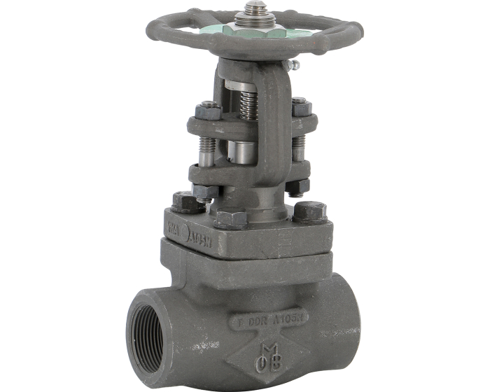 Carbon steel A105N globe valve 403 TRIM 8 600 lbs NPT 1/2''